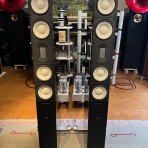 Raidho Acoustics X3